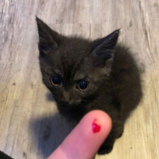 Логотип @rhrfhrhrh - закрыт