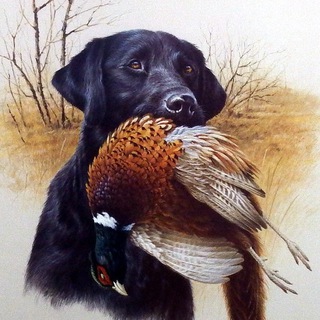 Логотип @ribka_noji - Ножи | Рыбалка | Охота