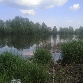 Логотип @ribkavsadke - Наша Река