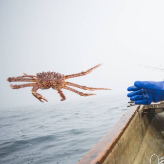 Логотип @ribniy_ekspert - Рыбный Эксперт | Большой Улов