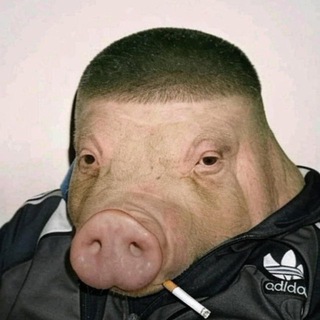 Логотип @riffrayder - RIFFRAYDER