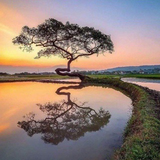 Логотип @riflessionix - Il giardino degli illuminati