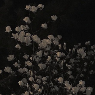 Логотип @rightt_wayy - ʀɪɢʜᴛ ᴡᴀʏ...