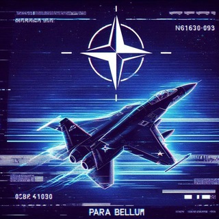 Логотип @rightwingersforukraine - Right Wingers for Ukraine 🇺🇦