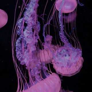 Логотип @riiing333r - justforracee