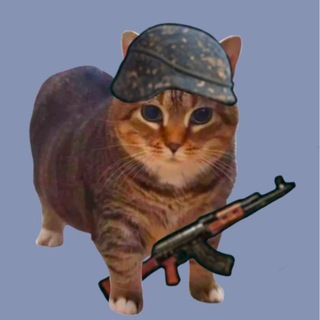 Логотип @rikkit_game - RIKKIT