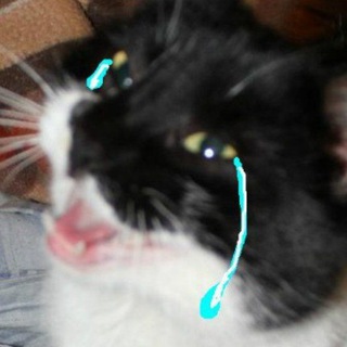 Логотип @rin_heroin - рин психанула👹