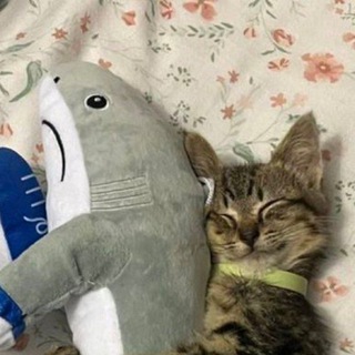 Логотип @rinateaparty - Очень редкий сорт чая