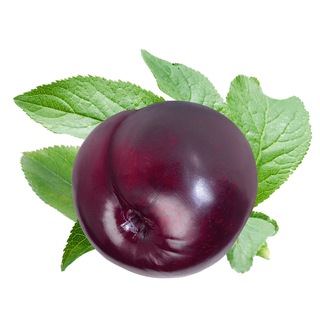 Логотип @ripeplumz - Спелые сливы!