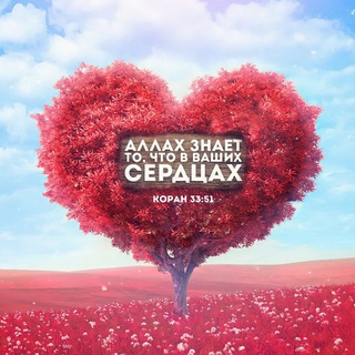 Логотип @risalyat_lilqalb - Послание сердцу