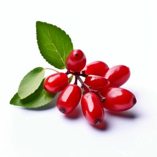 Логотип @risebattlegrounds - Rise 👹