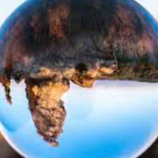 Логотип @risegs - Rise of the Global South