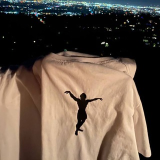 Логотип @risepizdelki - Aesthetic music 🕊️