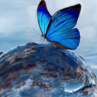 Логотип @rishugroup - 10 bihar board quiz group