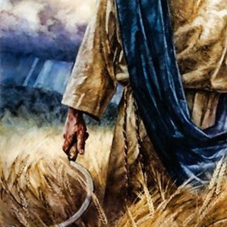 Логотип @risingharvest - The Rising Harvest