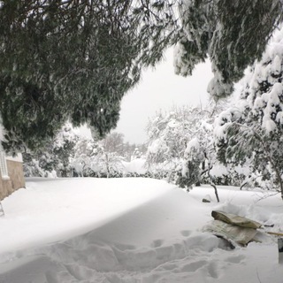 Логотип @rispr77 - Рисовать это просто It's easy to draw☺️😊