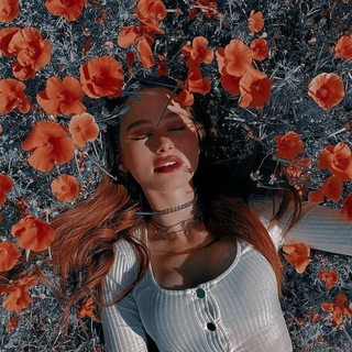 Логотип @riverlax - 🦋ri᥎ᥱrᥣᥲ᥊🦋