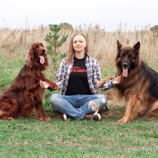 Логотип @riversdogs - River’s dog. Кинология. Собаки.