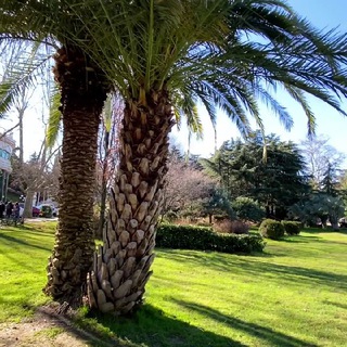 Логотип @riviera_foto_video - Ривьера ТО Темы для контента