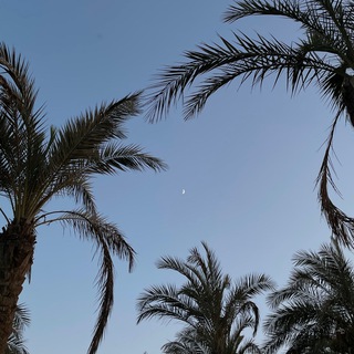 Логотип @riyadumuslimin - riyadu.muslimin