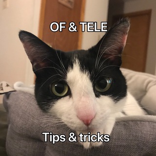 Логотип @rjmbdrxleqv1hn2zhugl3g - OF & TELE help!