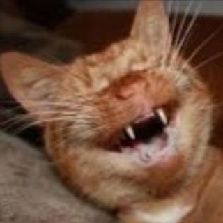 Логотип @rjynimagud - ржу нимагу ЮМОР😂🤯😏