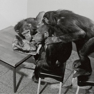 Логотип @rkmcrypto13 - реинкарнация катаны