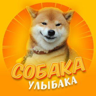 Логотип @RlNO252qhLs0YTYy - Собака-улыбака