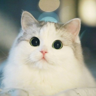 Логотип @rluwu - пикчи няш