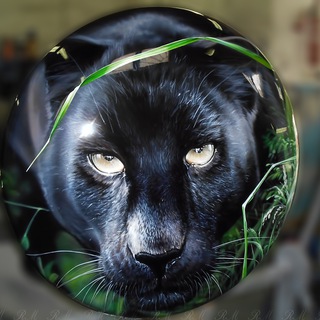 Логотип @rmekb - Аэрография