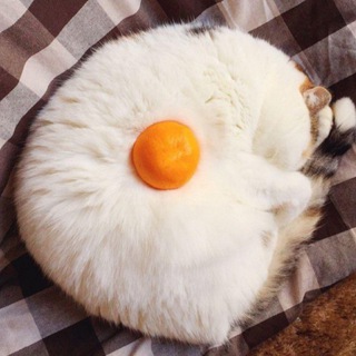 Логотип @rnd_pics - рандомные картинки