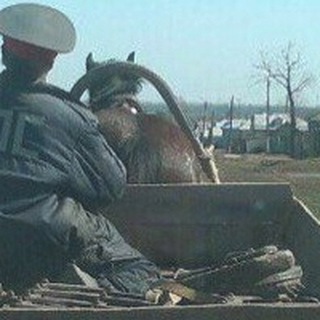 Логотип @roadkzn - БДД Казань (ДТП, ДПС 116)