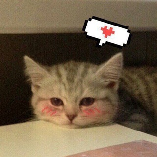 Логотип @roadsmu - Музыка в дорогу 😍🔥