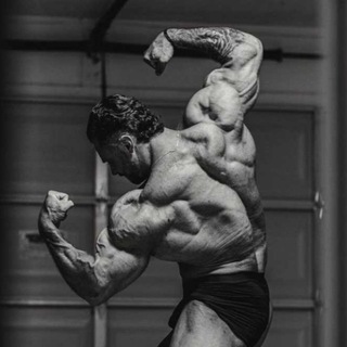 Логотип @roadtoolympp - Дорога к Олимпу 🥇