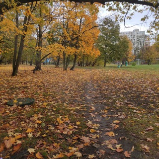 Логотип @robloxmalichka - Роблоксерша Маличка 😉и Бесплатные вещи