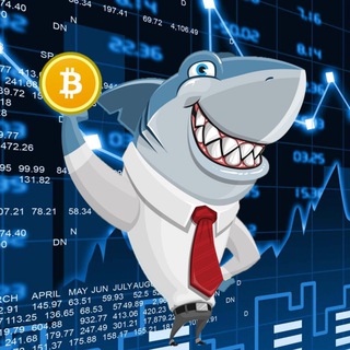 Логотип @rocket_shark - Rocket Shark 🦈 [PRIVATE CHANNEL🔒]