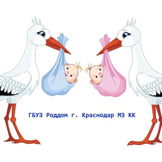 Логотип @roddom_eco - Роддом г. Краснодара