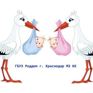 Логотип @roddomkrasnodar - ГБУЗ "Роддом г. Краснодара" МЗ КК