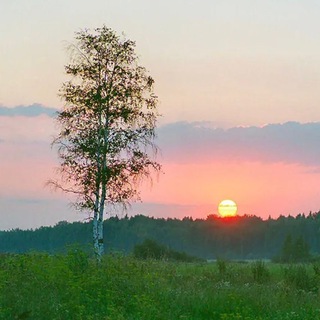 Логотип @rodina_moya_russsia - РОДИНА МОЯ