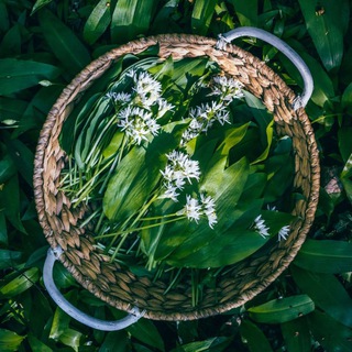 Логотип @rodinarossiy - 🫸Небесный🫷