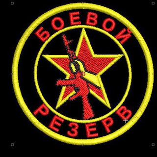 Логотип @rodinarussia27 - Боевой резерв