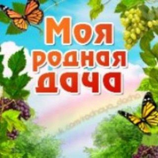 Логотип @rodnaya_dac4a - 🫛☘️Моя Родная Дача☘️🫛