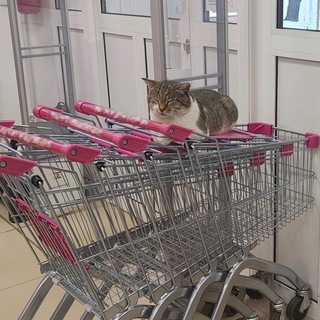 Логотип @roflanahiana - рофланы ахйана