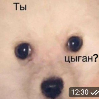 Логотип @roflik2 - Смешные стикеры бесплатно😎😉