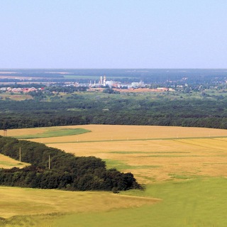 Логотип @roiausp - РОИА Успенский район