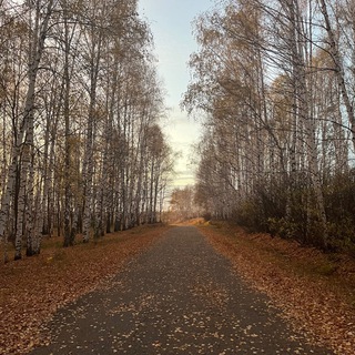 Логотип @rolkipolki - Ролки от полки🙈