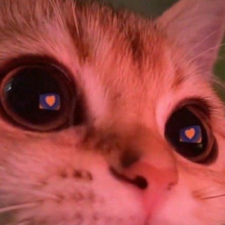 Логотип @rollka_a - идеи для ролок🦕