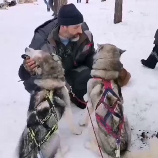 Логотип @roman_s_husky - 🐕🐕🐕---Роман с Хаски ЧАТ