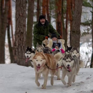 Логотип @roman_s_husky_31 - 🐕🐕🐕--Роман с Хаски