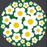 Ромашковый сбор